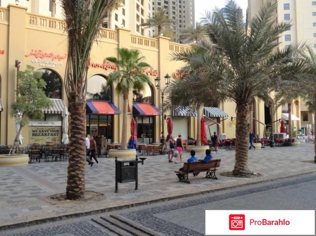 Отдых в эмиратах в январе отзывы туристов отрицательные отзывы