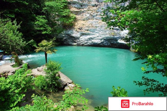 Пицунда рыбозавод частный сектор обман