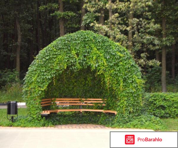 Белогорье обман