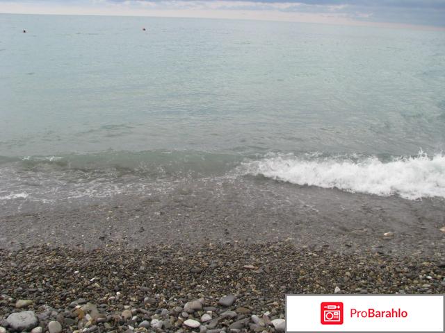 Студенческий городок отрицательные отзывы