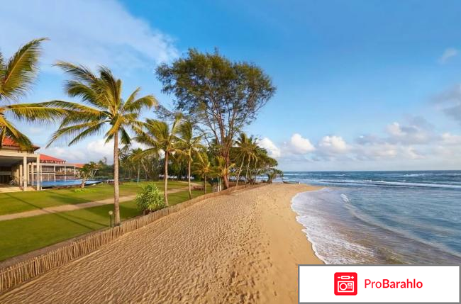 Берувела шри ланка отзывы туристов фото