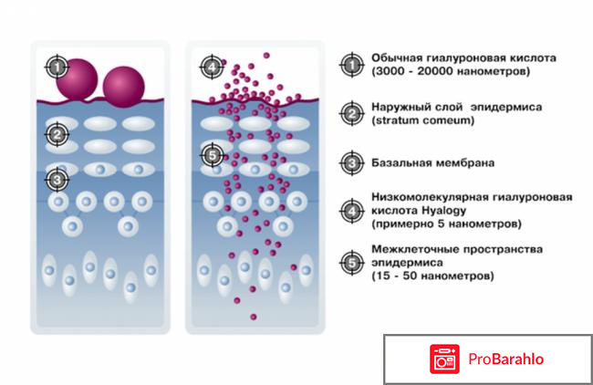 Низкомолекулярная гиалуроновая кислота купить отрицательные отзывы