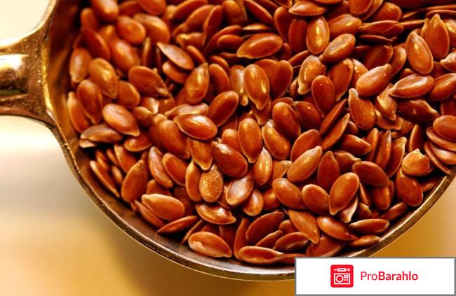 Семена льна отзывы врачей отрицательные отзывы