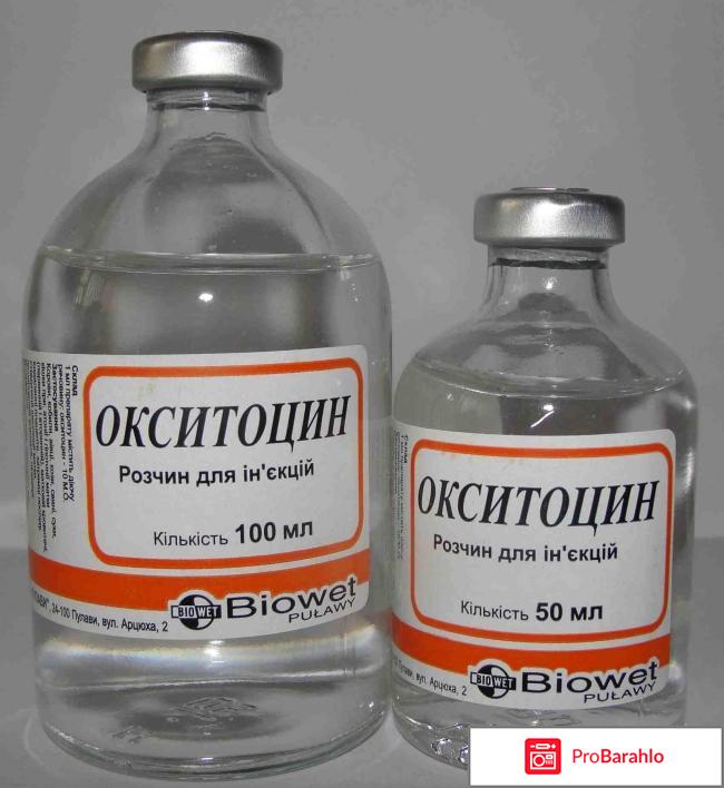 Окситоцин гормон 