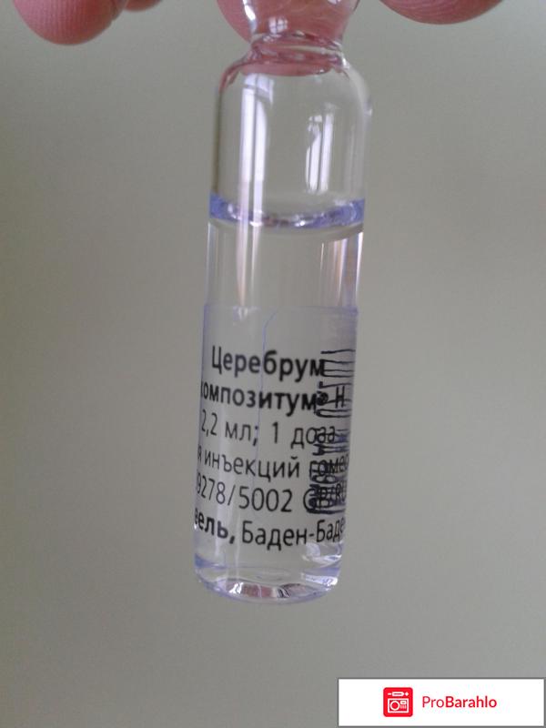 Церебрум композитум для детей обман