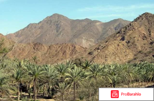 Фуджейра оаэ отзывы туристов реальные отзывы