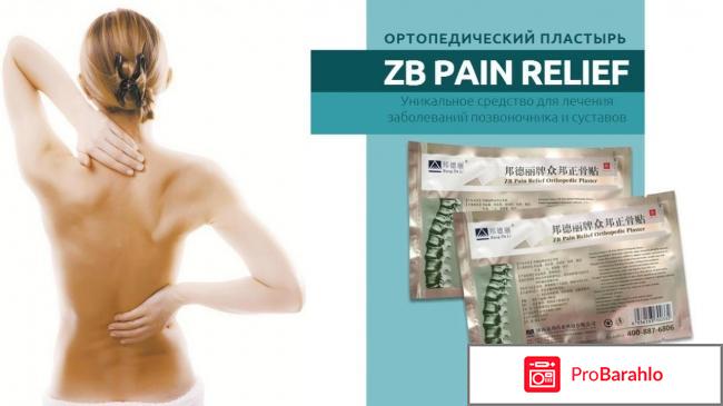 ZB Pain Relief 