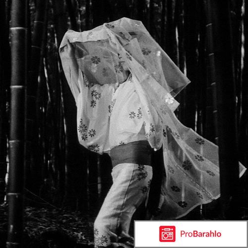 Чёрные кошки в бамбуковых заорслях 