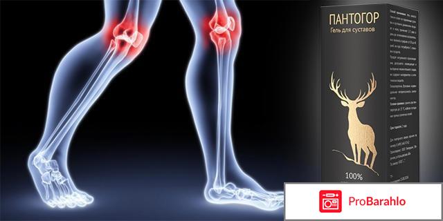 Пантогор гель для суставов купить обман