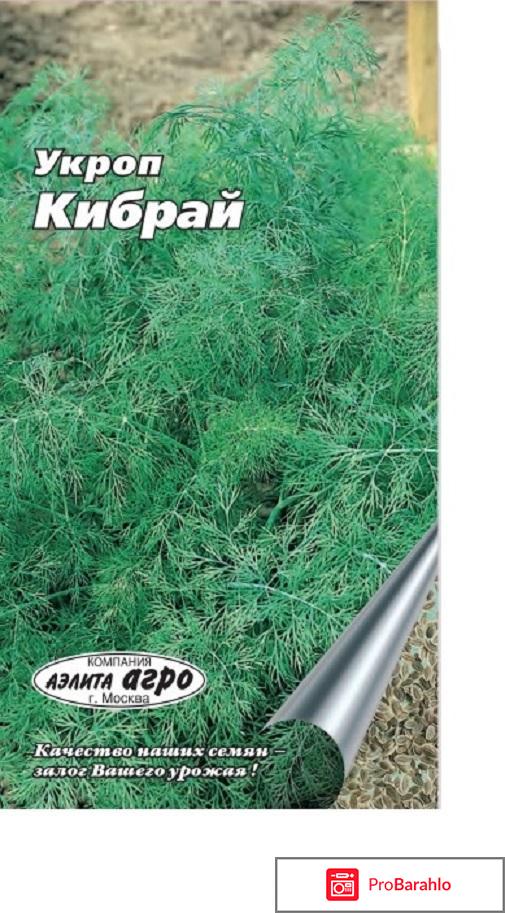 Укроп кибрай 