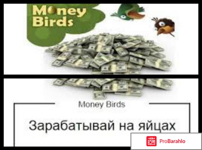 Money Birds экономическая игра с выводом денег. 