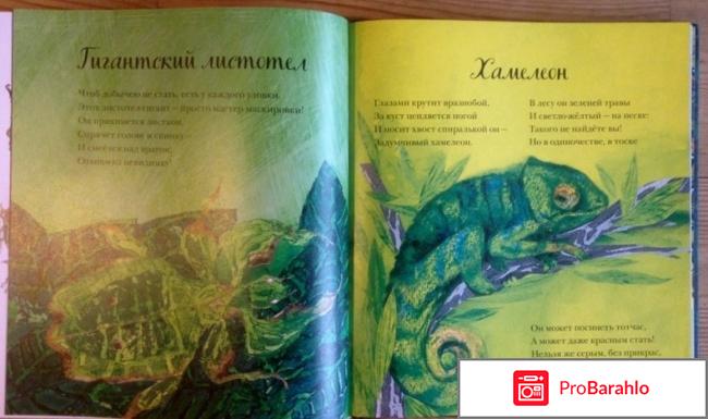 Красивая книга отзывов купить 