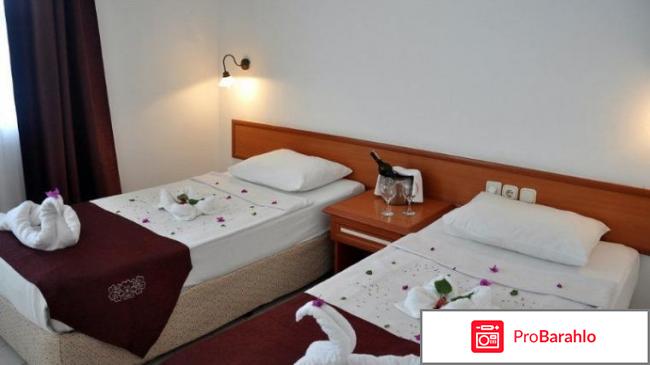 Mcs oasis beach club отрицательные отзывы