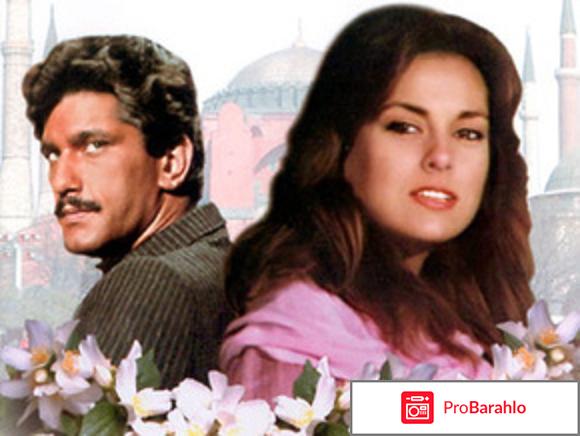 Королек - птичка певчая реальные отзывы