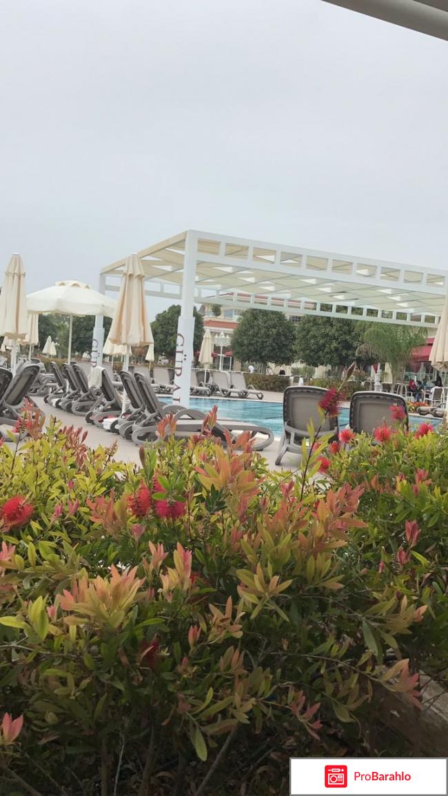 Отель Gural Premier Hotels&Resorts 