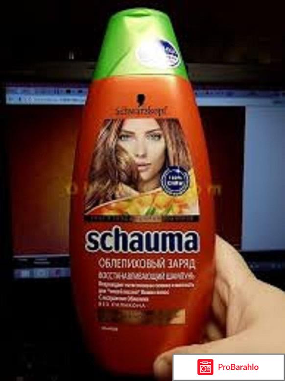 Shauma Облепиховый заряд 