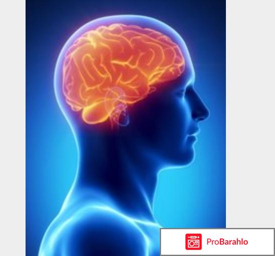 Паксил отзывы врачей отрицательные отзывы