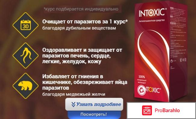 Intoxic отрицательные отзывы