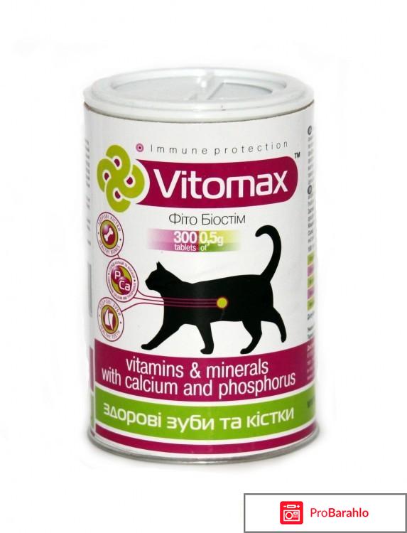 Витамины для котов обман