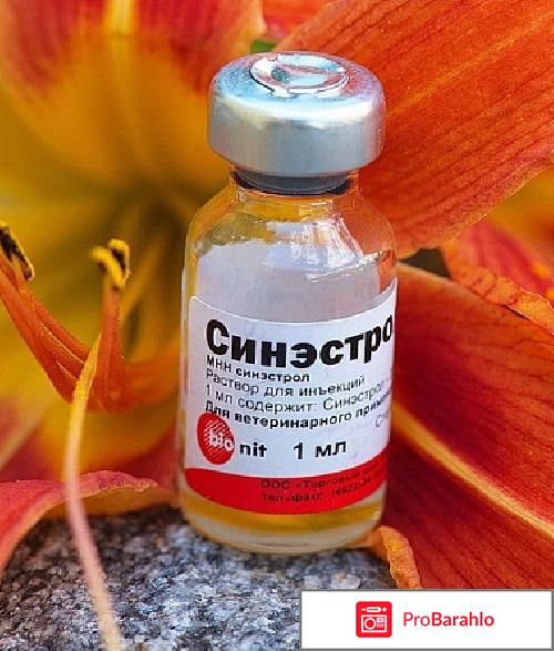 Синестрол отзывы обман