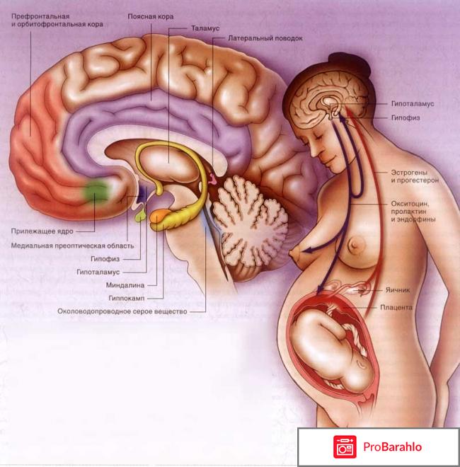 Высокий пролактин 