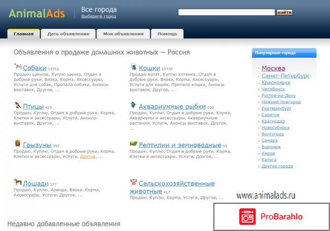 Продажа щенков, котят и других животных 