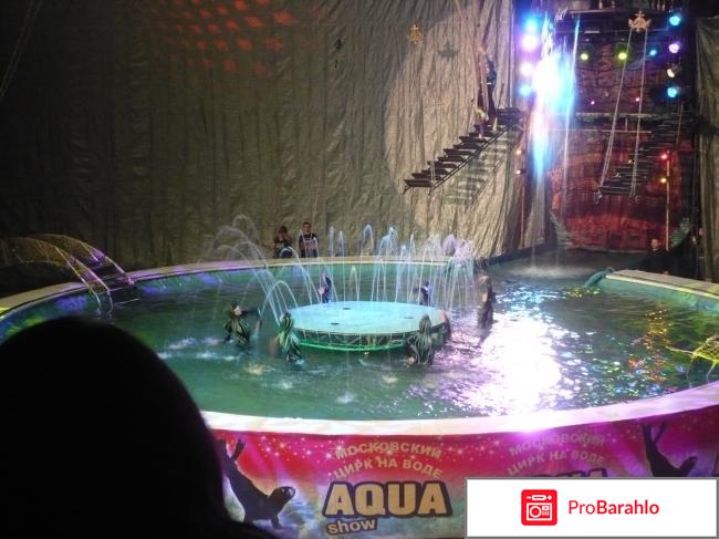 Московский цирк на воде Aqua show 