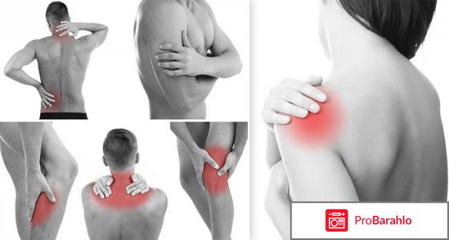 Хондрогард мазь инструкция по применению цена отзывы реальные отзывы