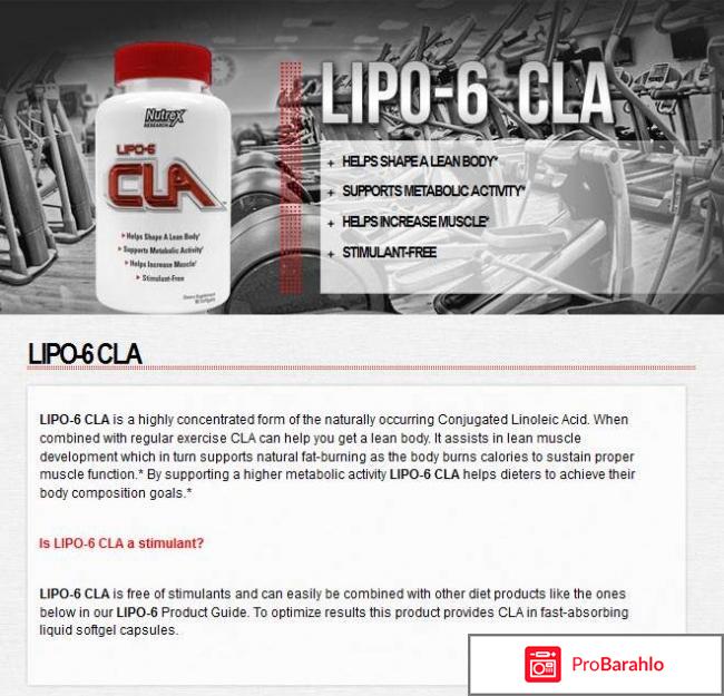 Lipo 6 cla кислота для похудения отзывы последствия 