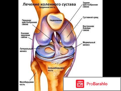 Лечение суставов народными средствами обман