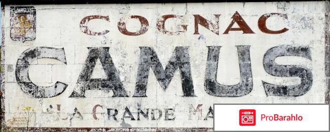 Коньяк наполеон отрицательные отзывы