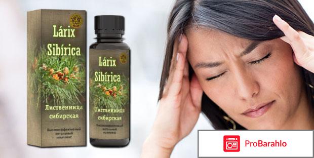 Larix Sibirica средство от давления и ВСД: отзывы, цена... отрицательные отзывы