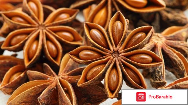 Целебные свойства, применение и противопоказания аниса обман