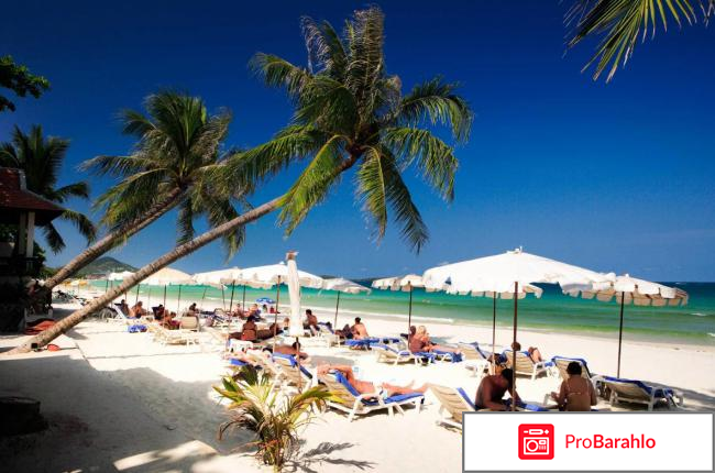 Отзывы туристов о самуи фото