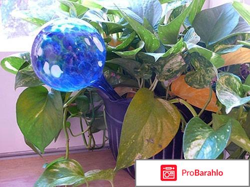 Шар для полива растений Smile WS 104 