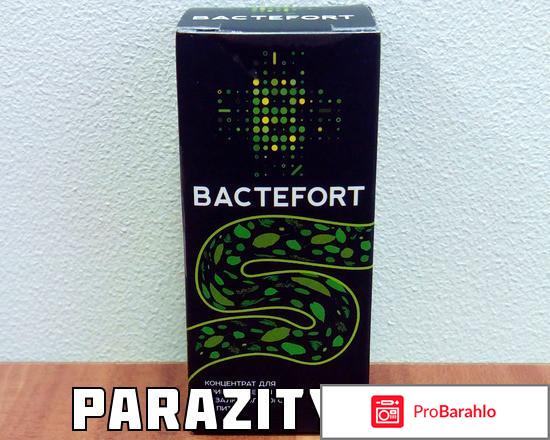 Bactefort где купить 