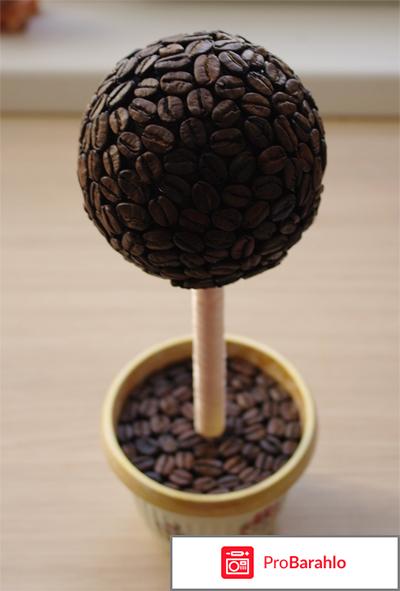 Топиарий отзывы владельцев