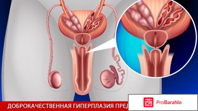 Омник инструкция по применению цена