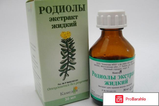 Золотой корень лечебные свойства и противопоказания обман