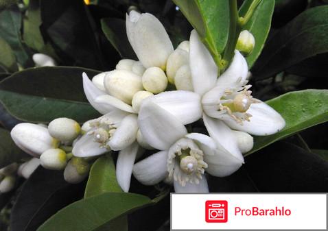 Набор Dior фото