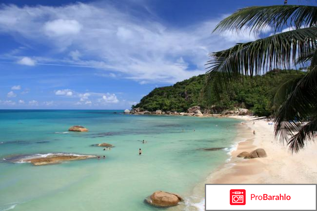 Отзывы туристов о самуи реальные отзывы