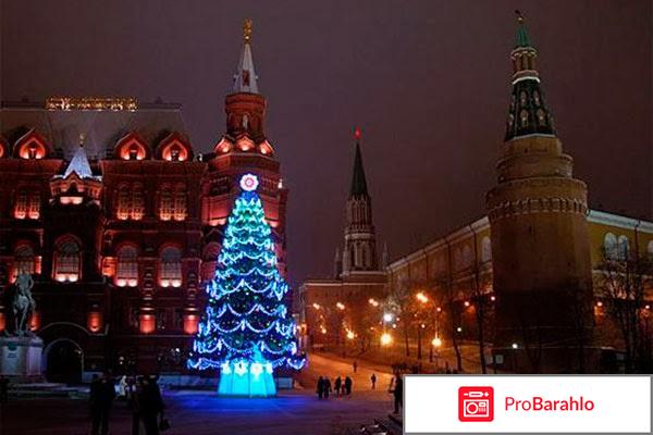 Новогодние ёлки в москве отзывы отзывы владельцев