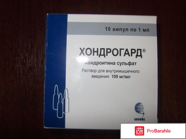 Хондрогард - отзывы, инструкция, аналоги, цена 