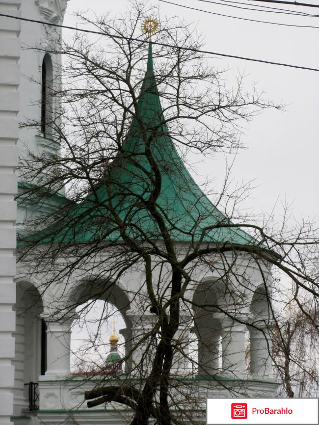 Собор Рождества Богородицы в Козельце 