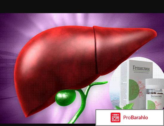 Гепаклин для печени: цена, отзывы, купить с доставкой 