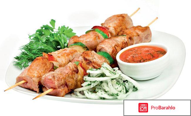 Электрошашлычница нева1 обман