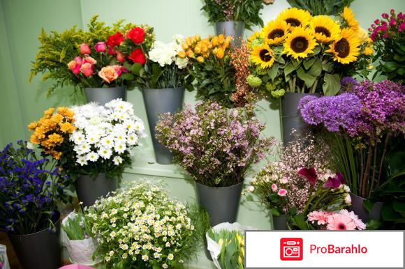 Флорист ру доставка цветов обман