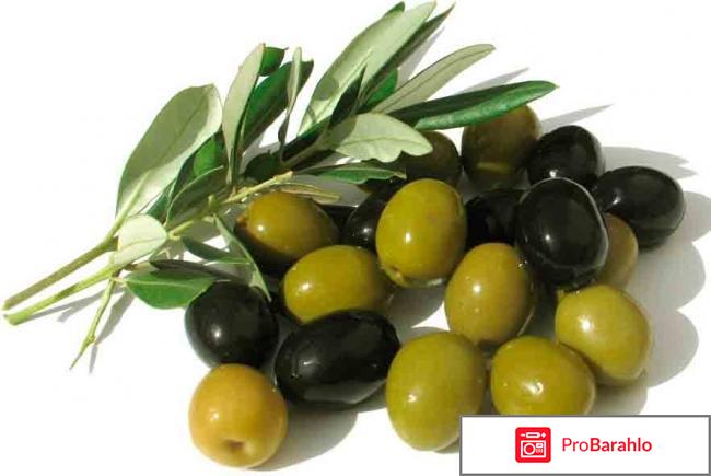 Оливки зелёные с косточкой 