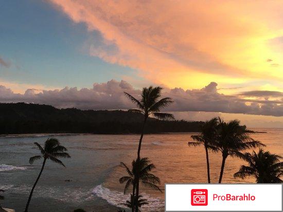 Гавайи отзывы туристов реальные отзывы