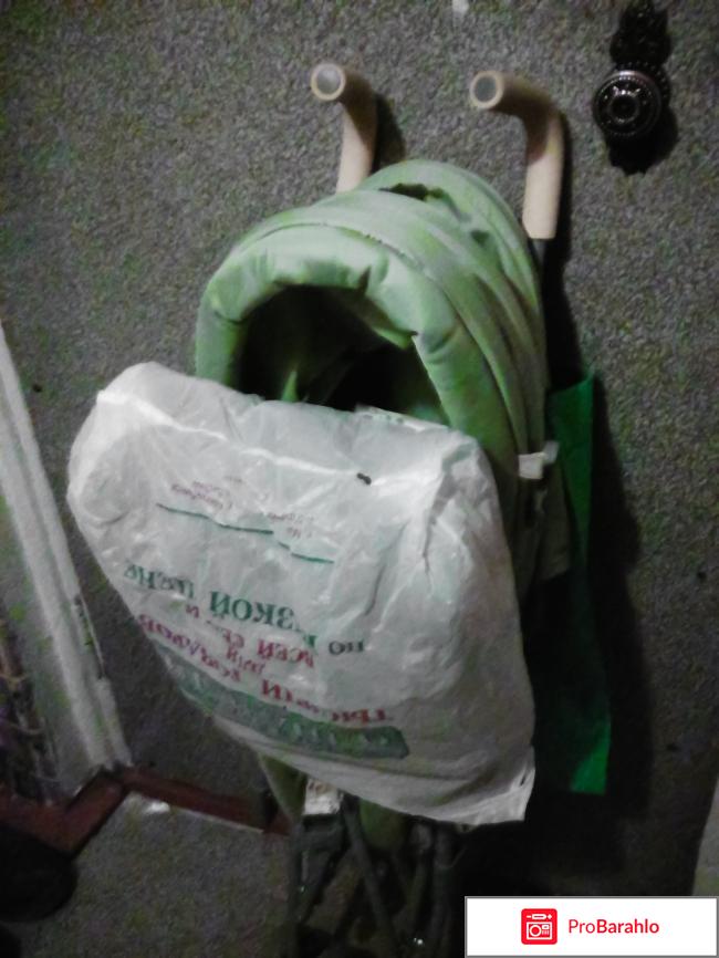 Коляска-трость Babyton 320B обман